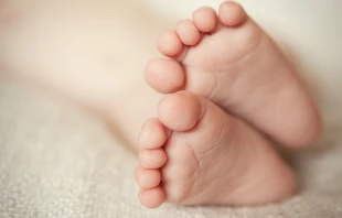 Credit: Eleonora_os/Shutterstock.